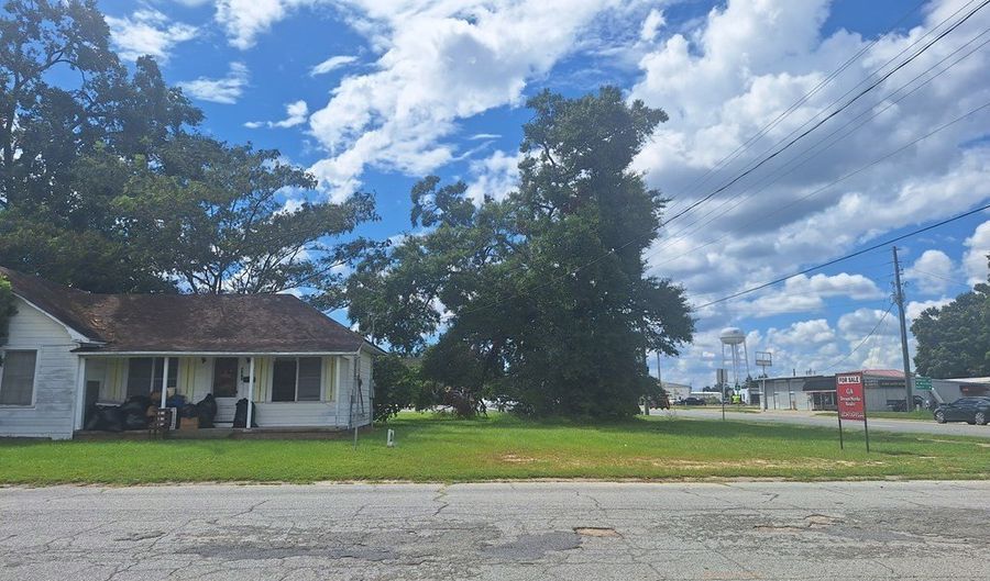 403 S Ware St, Alma, GA 31510 - 2 Beds, 2 Bath