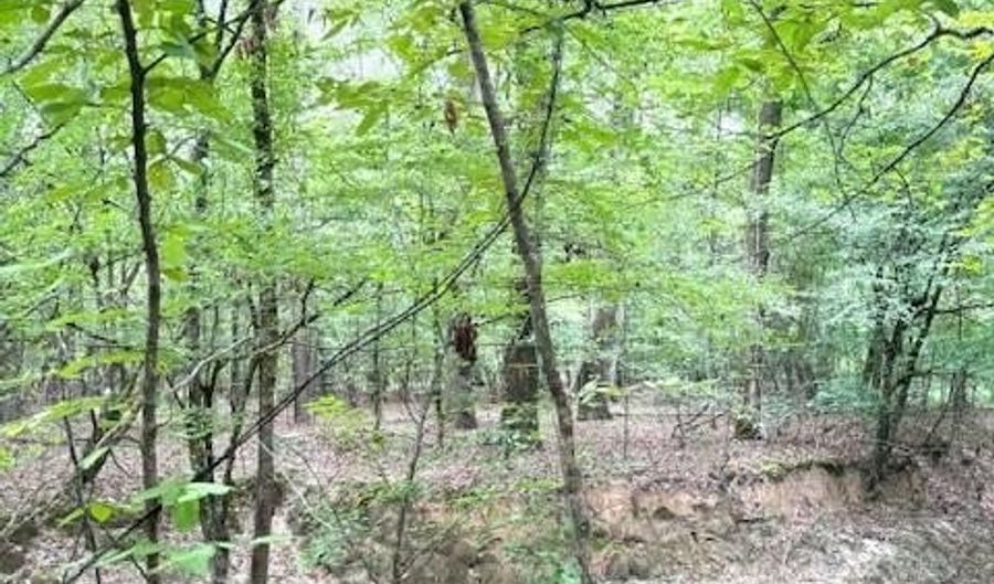 000 Highway 615 Hwy, Haynesville, LA 71038 - 0 Beds, 0 Bath