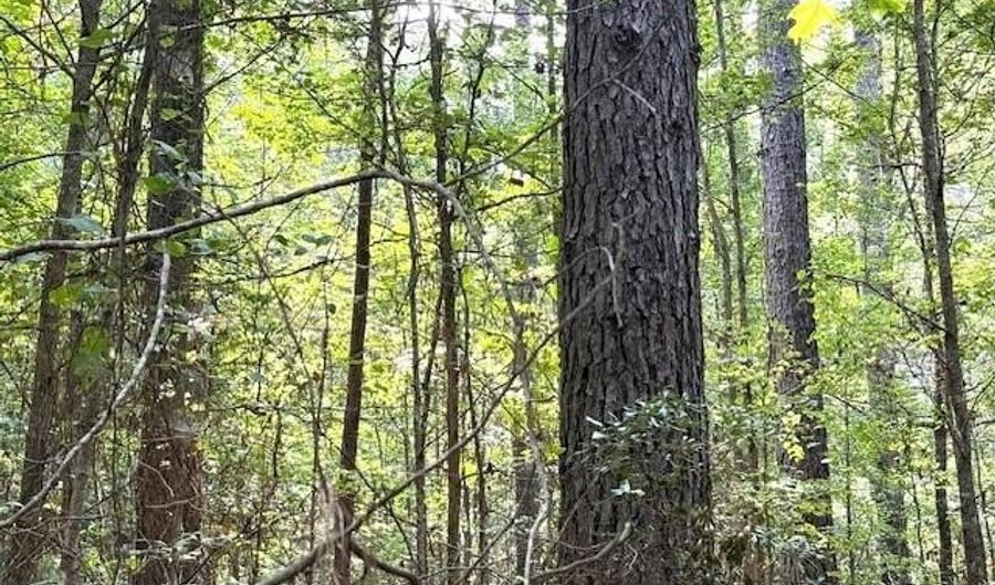 000 Highway 615 Hwy, Haynesville, LA 71038 - 0 Beds, 0 Bath