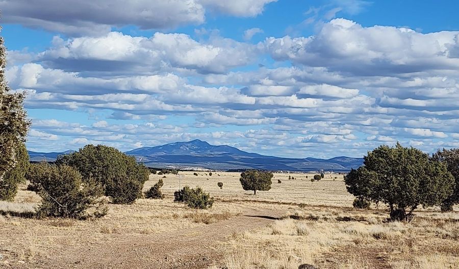 True Grit lot 55A, Ash Fork, AZ 86320 - 0 Beds, 0 Bath