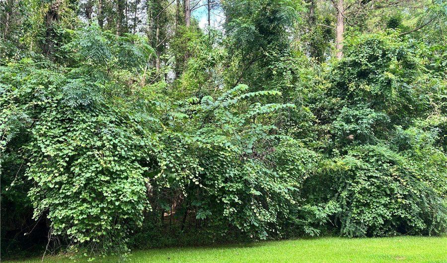 Cypress Point lot 155/155A, Akron, AL 35441 - 0 Beds, 0 Bath
