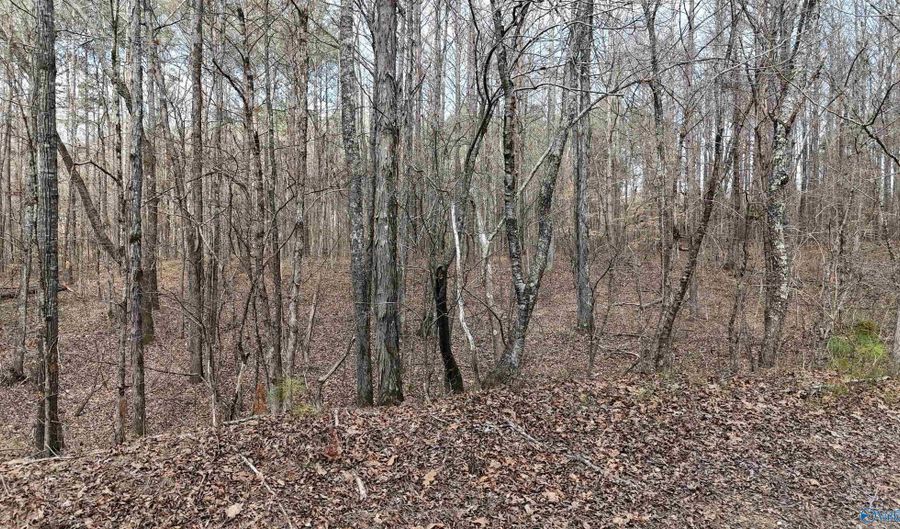 002 Toney Dr, Altoona, AL 35952 - 0 Beds, 0 Bath