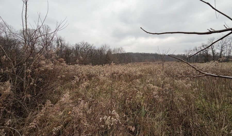 TBD E Willow Rd, Bloomfield, IN 47424 - 0 Beds, 0 Bath