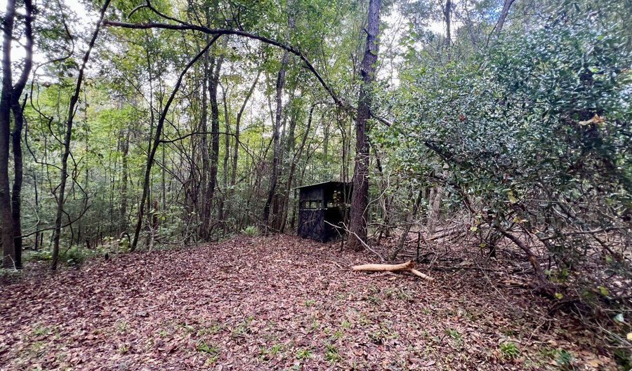 122 Whitehead Rd, Abbeville, AL 36310 - 4 Beds, 4 Bath