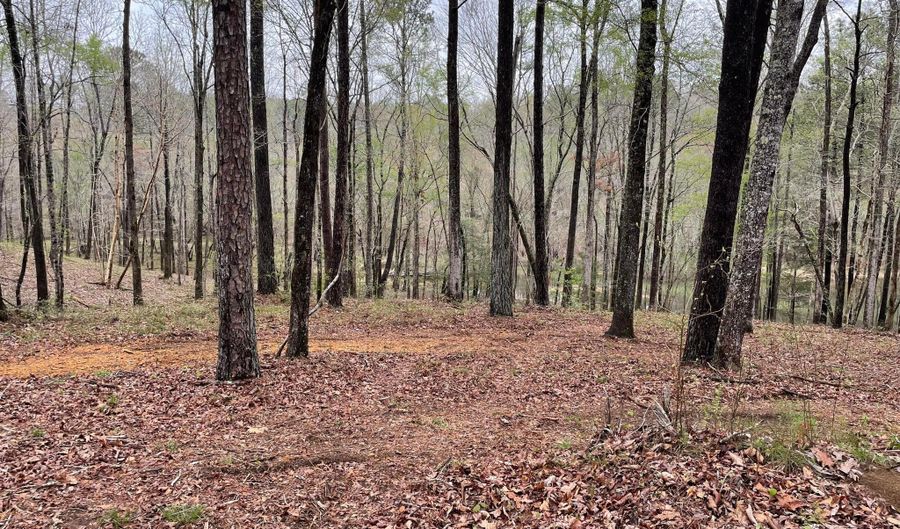 LOT 3 SHORESIDE AT SIPSEY, Double Springs, AL 35553 - 0 Beds, 0 Bath