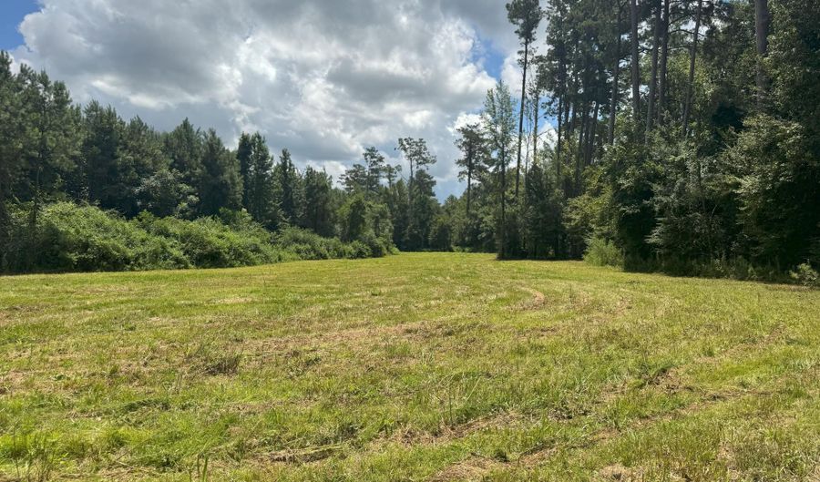 Beltline Drive, Brookhaven, MS 39601 - 0 Beds, 0 Bath