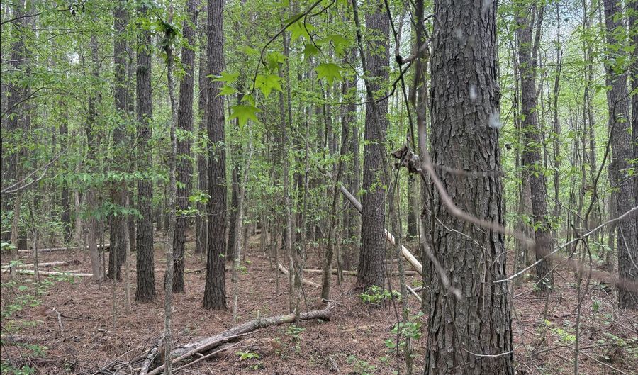 Hester Road, Ackerman, MS 39735 - 0 Beds, 0 Bath
