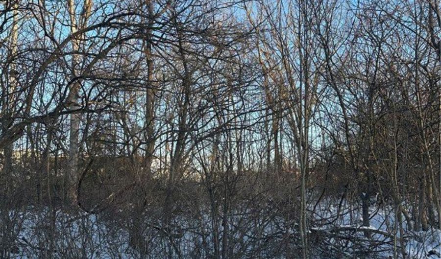 N Navarre Avenue, Austintown, OH 44515 - 0 Beds, 0 Bath