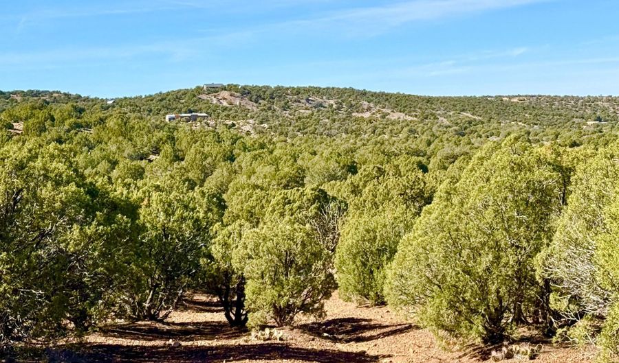 Kirkland DR 20 Acres, Concho, AZ 85924 - 0 Beds, 0 Bath