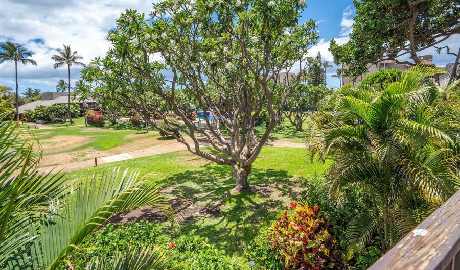 811 S Kihei Rd 2H, Kihei, HI 96753 - 3 Beds, 2 Bath