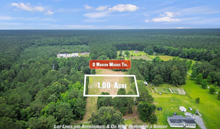 Marion Woods Trail, Bonneau, SC 29431 - 0 Beds, 0 Bath