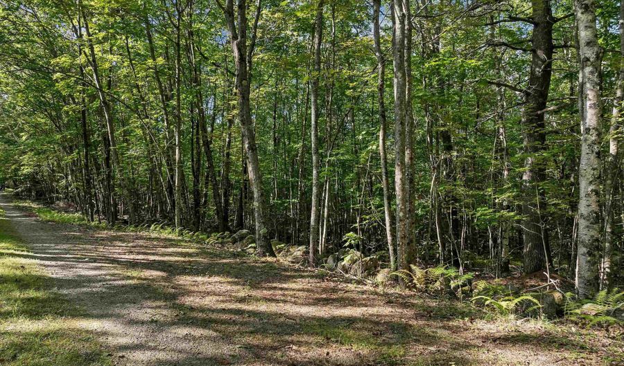 Chamberlain Road lot 11, Alton, NH 03809 - 0 Beds, 0 Bath