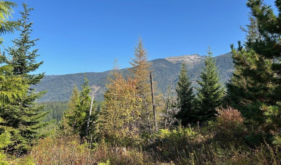 Tract 6 USFS 2294, Clark Fork, ID 83811 - 0 Beds, 0 Bath
