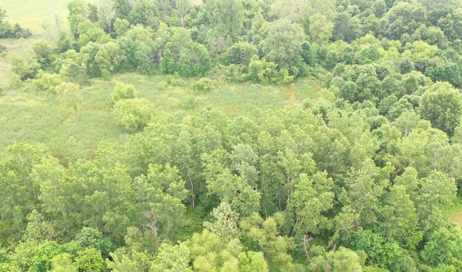N State Rd 9, Alexandria, IN 46001 - 0 Beds, 0 Bath