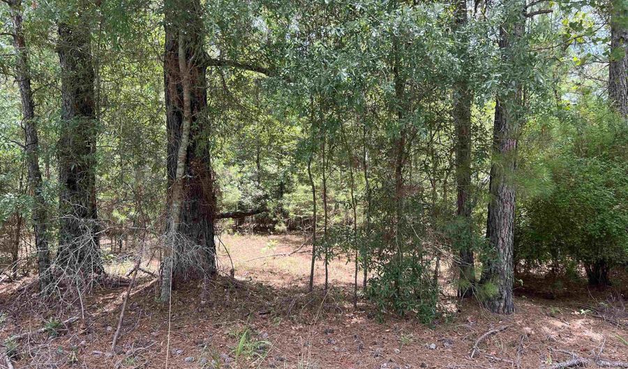 TBD Ervin Road Ervin Rd, Andrews, SC 29510 - 0 Beds, 0 Bath