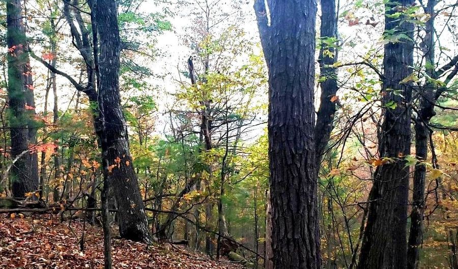FAIRWAY Drive lot 31, Basye, VA 22810 - 0 Beds, 0 Bath
