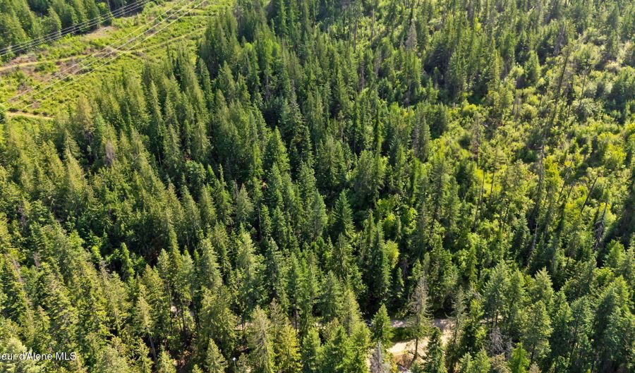 Lot 1 Kokanee Ave, Bayview, ID 83803 - 0 Beds, 0 Bath