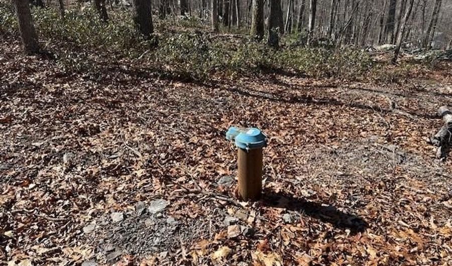 2 08 ACRES DEER PATH Rd, Augusta, WV 26704 - 0 Beds, 0 Bath