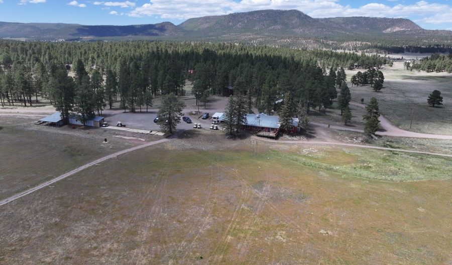 58 County Road N2122, Alpine, AZ 85920 - 0 Beds, 0 Bath