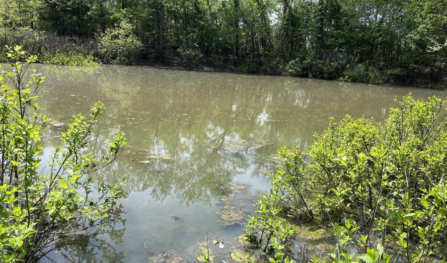 County Road P-309, Alton, MO 65606 - 0 Beds, 0 Bath