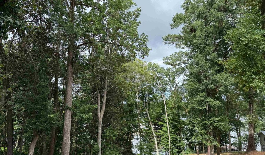 Pier 7 Rd, Andalusia, AL 36421 - 0 Beds, 0 Bath