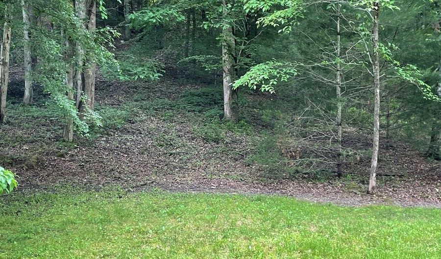 00 Collett Woods Trl 4-20, Andrews, NC 28901 - 0 Beds, 0 Bath