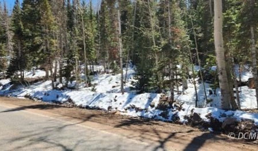 641 N Hwy 143, Brian Head, UT 84719 - 0 Beds, 0 Bath
