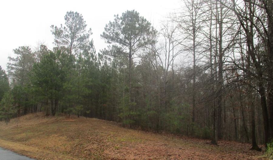 Lot 66 E. Commodore Drive, Cross Hill, SC 29332 - 0 Beds, 0 Bath