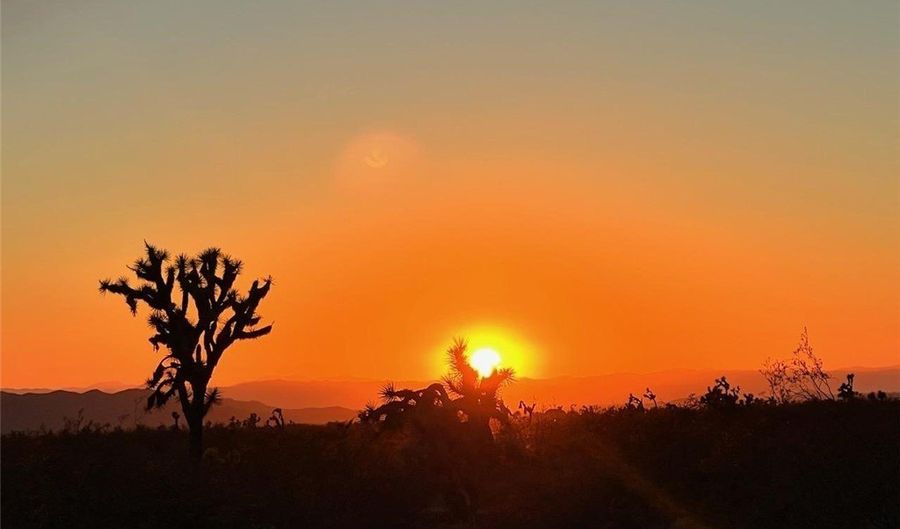 S Cholla / Cortaro Road lot 197, Yucca, AZ 86438 - 0 Beds, 0 Bath