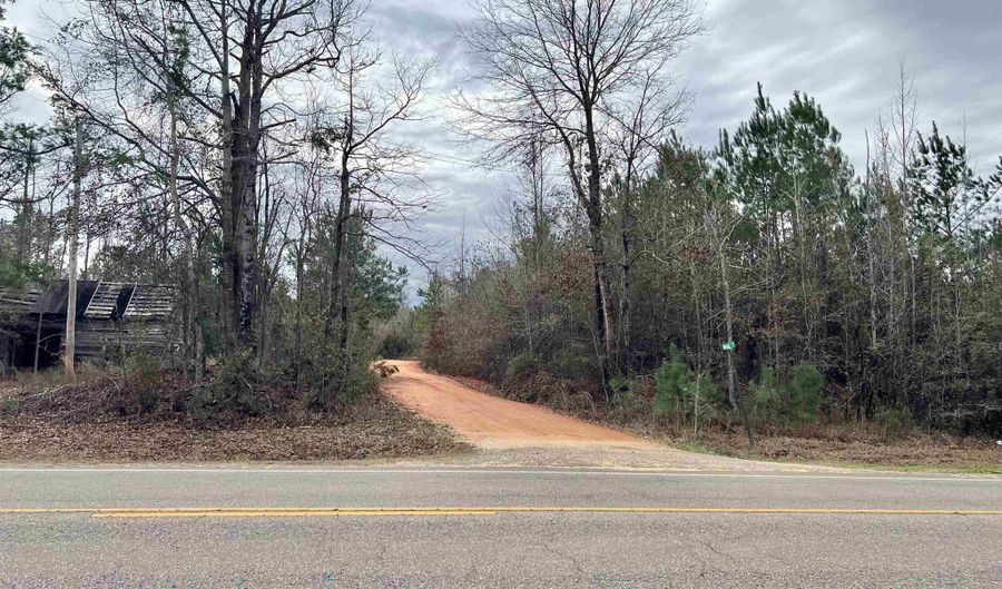 21000 Block Highway 21, Beatrice, AL 36425 - 0 Beds, 0 Bath