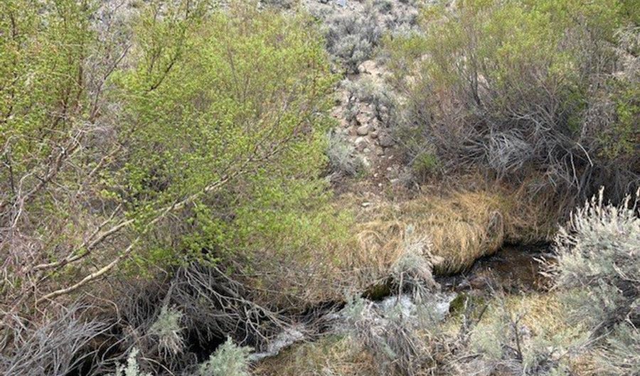 740 CHIATOVICH CREEK Rd, Dyer, NV 89010 - 0 Beds, 0 Bath