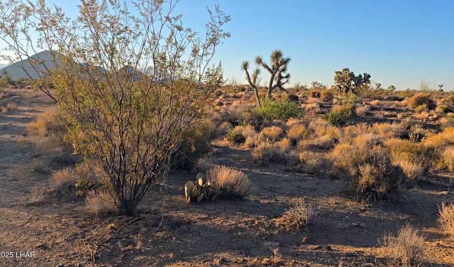 6 E Allison Dr, Yucca, AZ 86438 - 0 Beds, 0 Bath