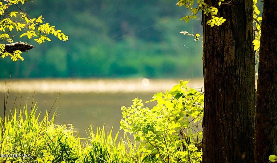 Cypress Pointe Drive lot 11, Brooksville, MS 39739 - 0 Beds, 0 Bath