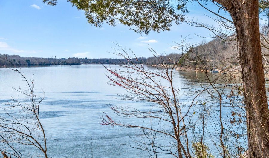Lot 5 & 6 Lafon Road, Bath Springs, TN 38311 - 0 Beds, 0 Bath