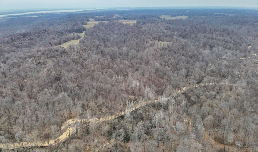 Sandy Branch Road, Bardwell, KY 42023 - 0 Beds, 0 Bath