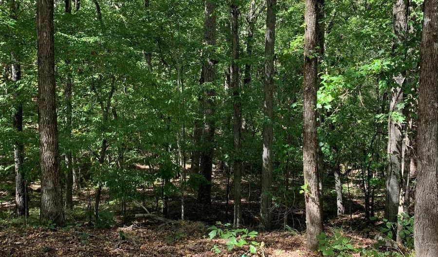 26 Raton Ln, Hot Springs Village, AR 71909 - 0 Beds, 0 Bath