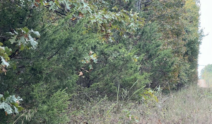 County Road 113 lot 3, Alton, MO 65606 - 0 Beds, 0 Bath