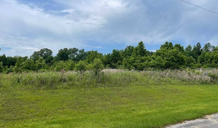 601 Calico Ct, Alberta, AL 36720 - 0 Beds, 0 Bath