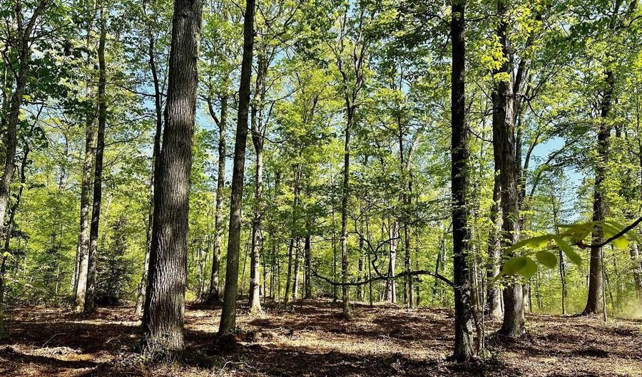 000 Lot 4 TAPPS FORD Rd, Amissville, VA 20106 - 0 Beds, 0 Bath