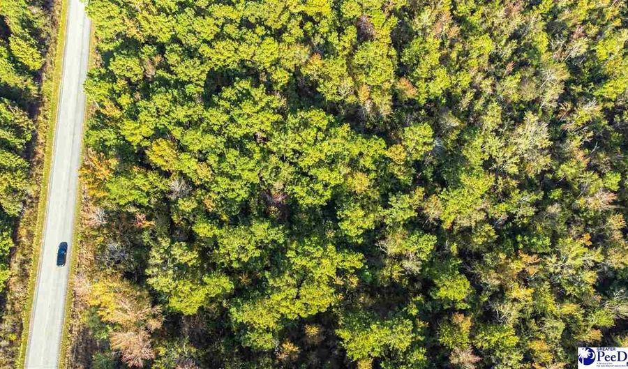 TBD I M Graham Rd, Cades, SC 29518 - 0 Beds, 0 Bath