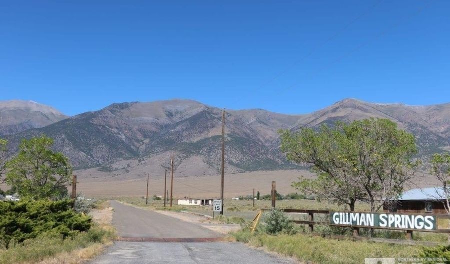 316 Gillman Springs Dr Lot 62, Austin, NV 89310 - 0 Beds, 0 Bath