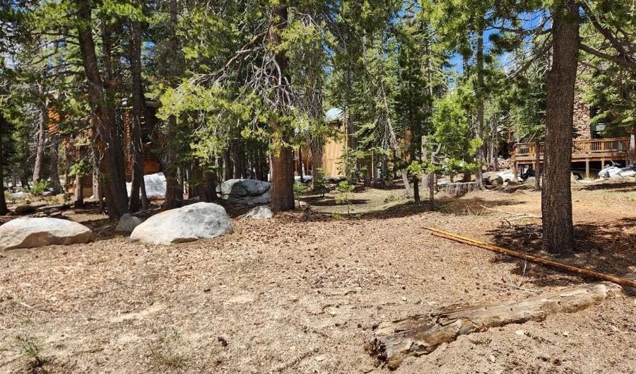 99 Monty Wolf Rd, Bear Valley, CA 95223 - 0 Beds, 0 Bath