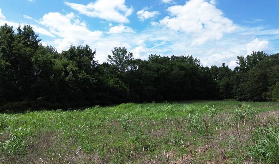 Lower Big Sandy Road, Big Sandy, TN 38221 - 0 Beds, 0 Bath