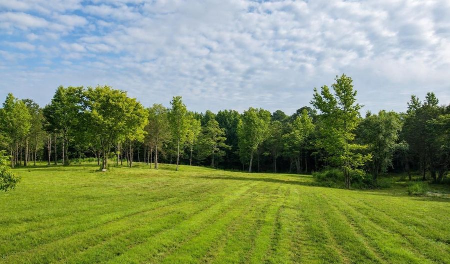 58 Acres Naples Ln, Arab, AL 35016 - 0 Beds, 0 Bath