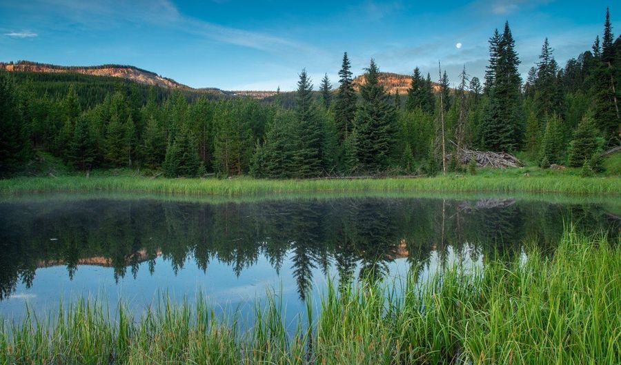 Trout Pond Lane lot 7, Big Sky, MT 59716 - 0 Beds, 0 Bath