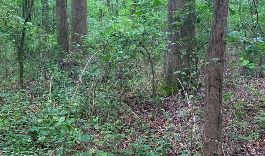 7700 Poole TRACT B, Alto, GA 30510 - 0 Beds, 0 Bath