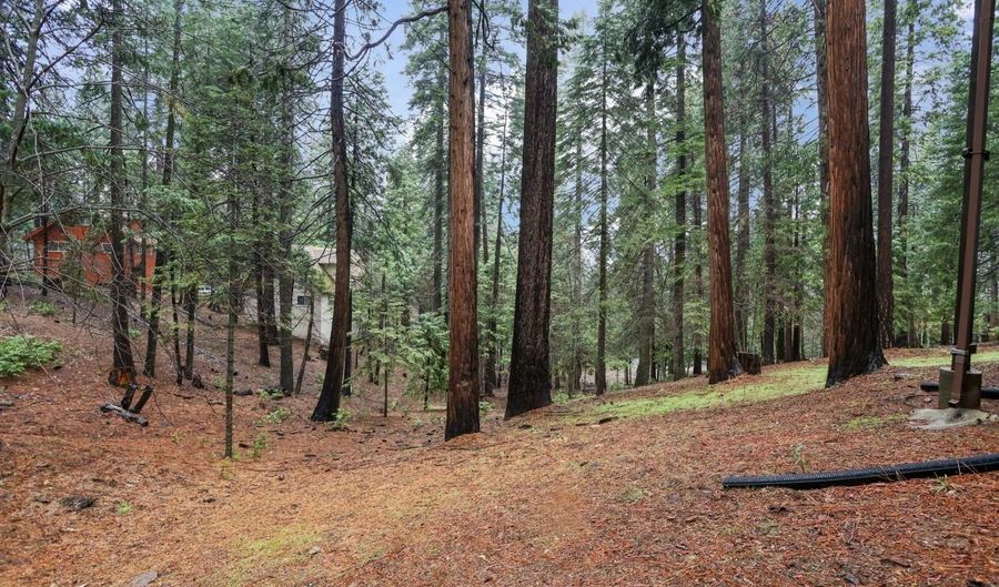 1996 Seminole Way, Arnold, CA 95223 - 4 Beds, 5 Bath