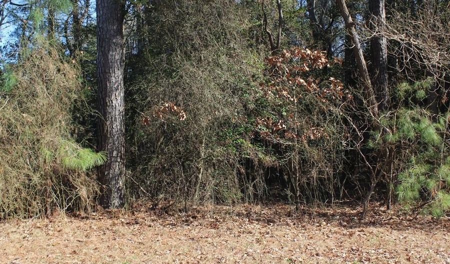 SANDPIPER LANE lot 20, Atlantic, VA 23303 - 0 Beds, 0 Bath