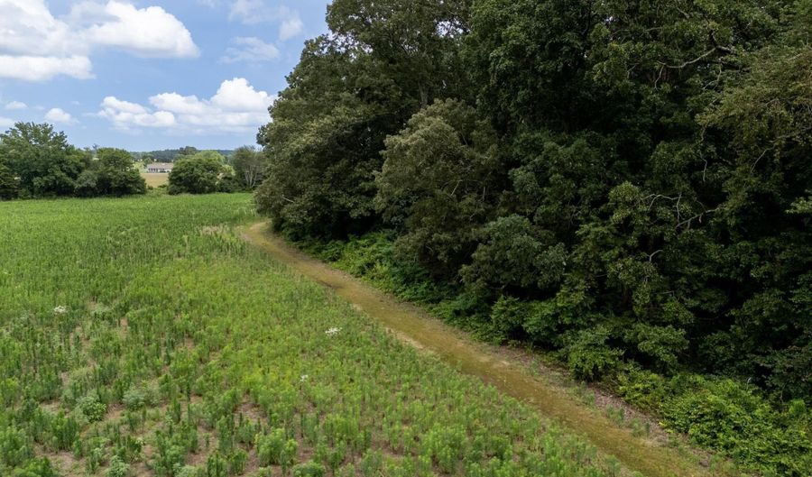 30 Acres Oneal Rd, Athens, AL 35614 - 0 Beds, 0 Bath