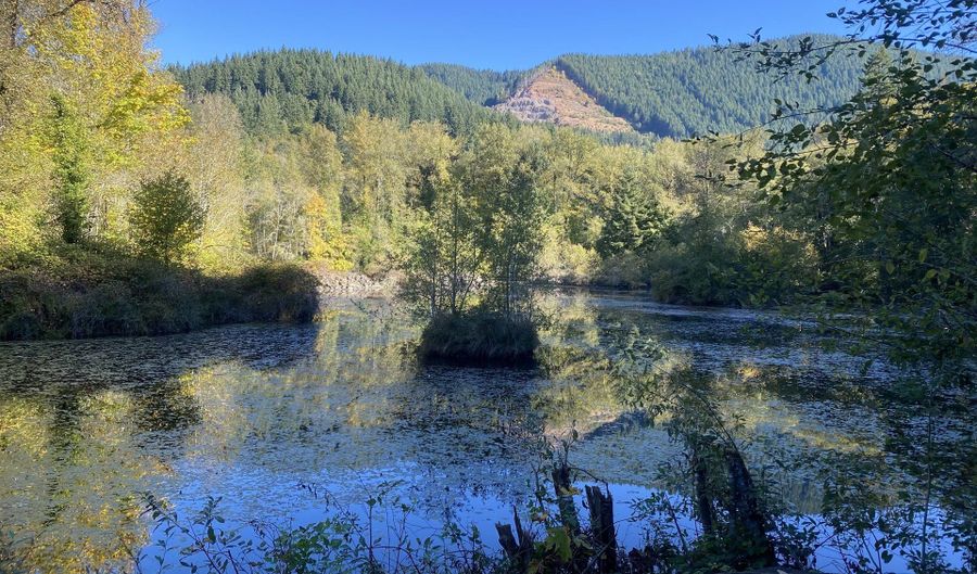 1 E Brightwood Loop Rd, Brightwood, OR 97011 - 0 Beds, 0 Bath